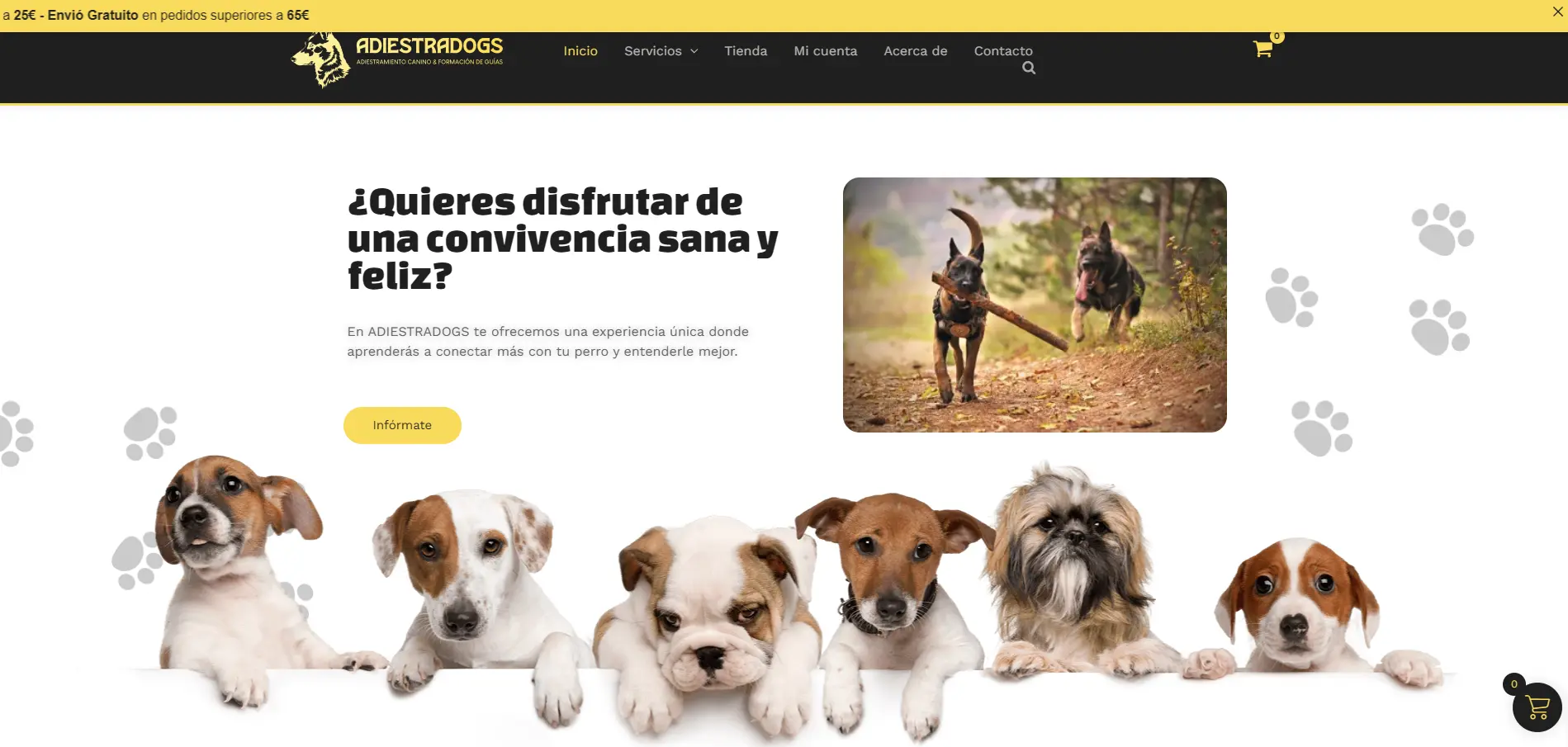 Adiestradogs