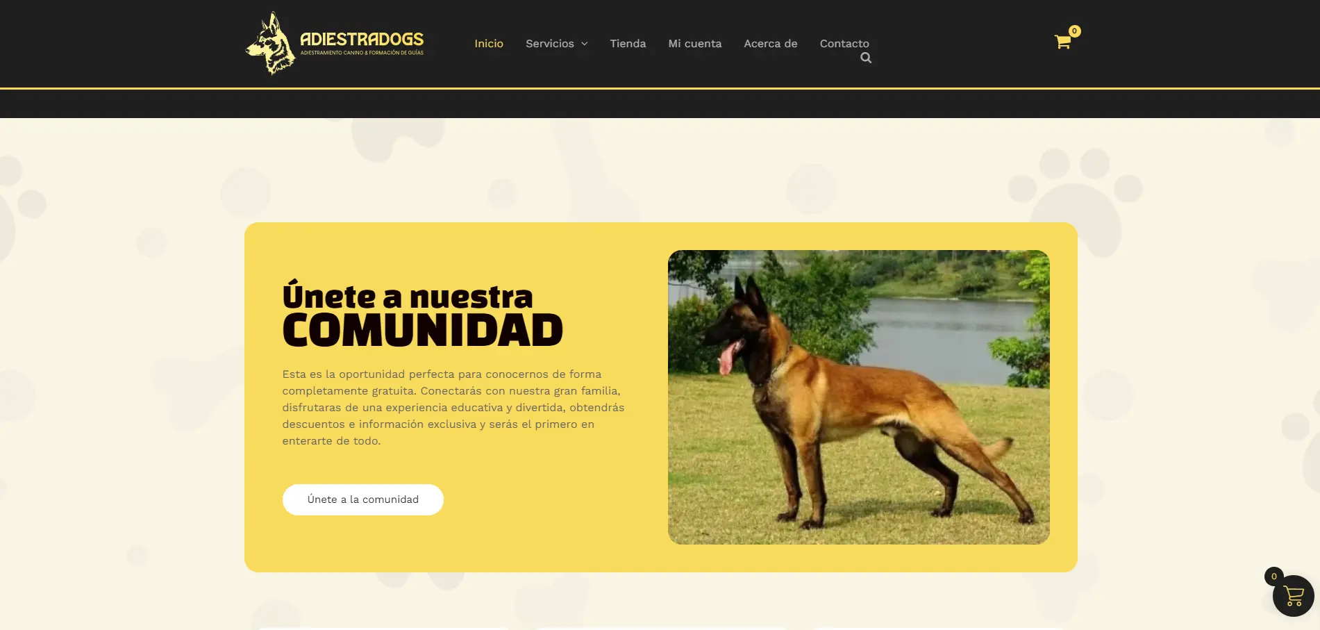 Adiestradogs